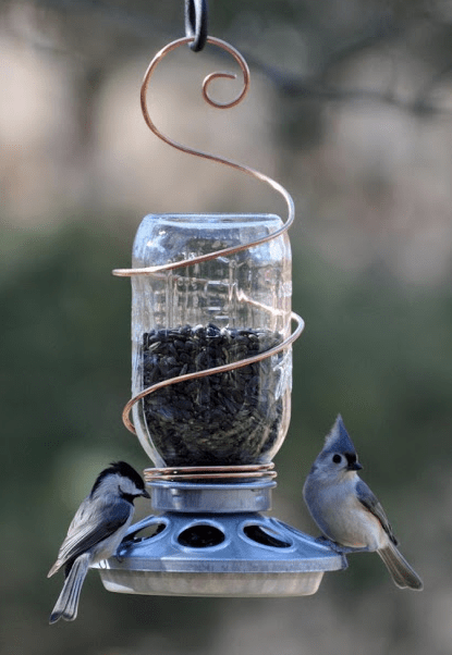 Bird feeder