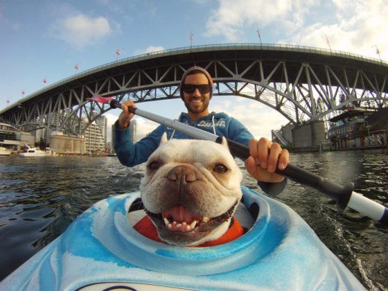 Dog in front of kayak