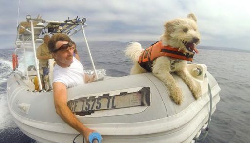 Dog and man at front of boat