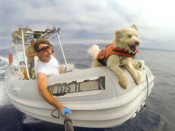 Dog and man at front of boat