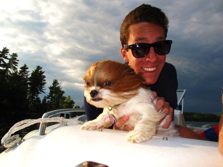 Dog with fur pushed back by wind