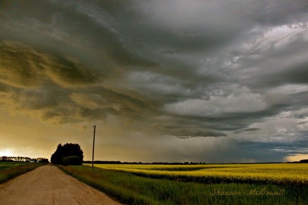 Dark clouds over prairies