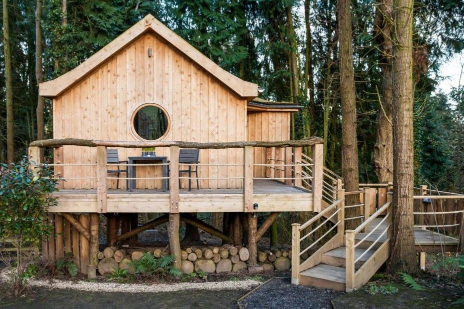 The Bird House