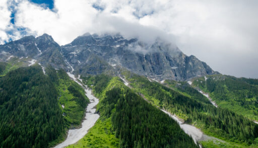 The green trees along Mount Revelstoke in Mount Revelstoke National Park, B.C.