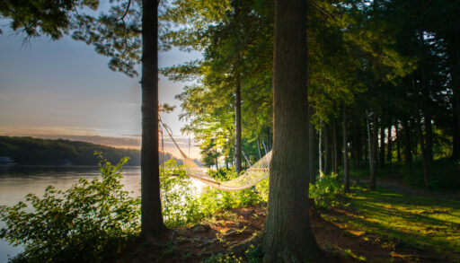 Hammock hanging between two trees in a forest by a lake at sunset.