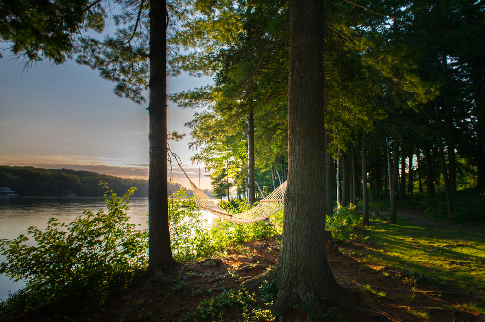 Hammock hanging between two trees in a forest by a lake at sunset.