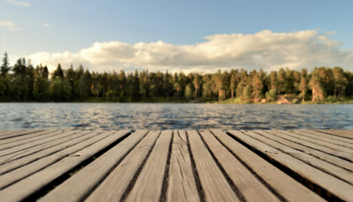 Wooden dock overlooking a lake and a forest.