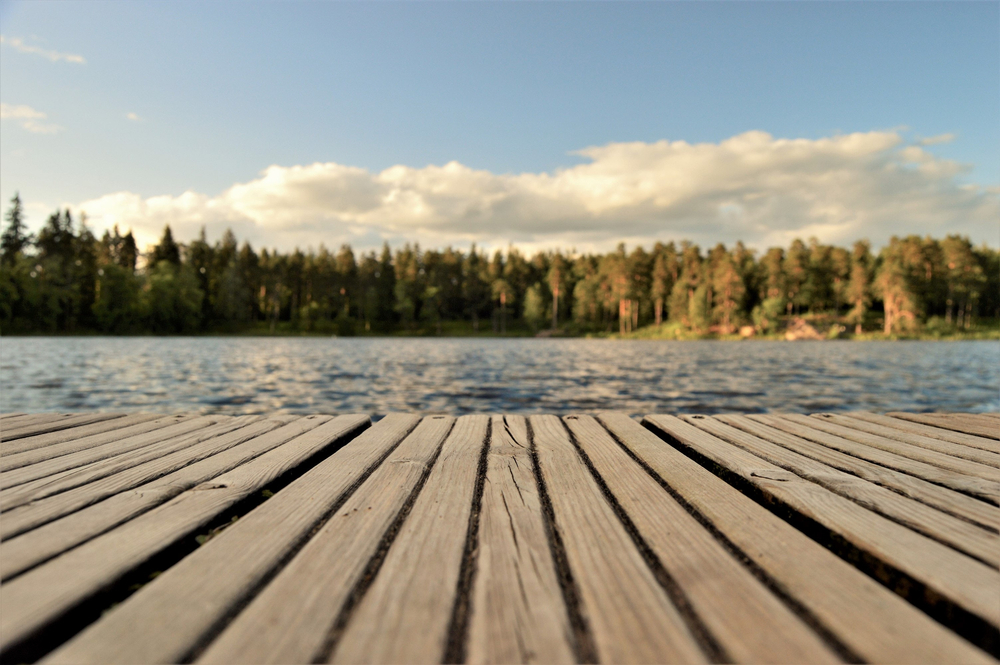 Wooden dock overlooking a lake and a forest.