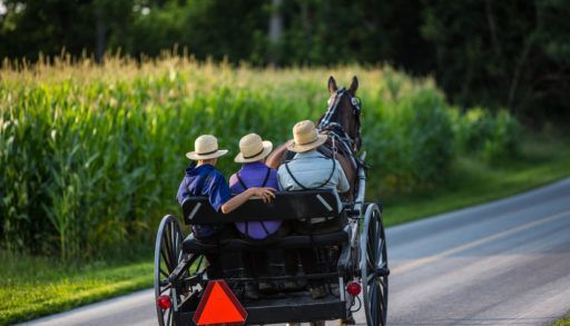 Three men travelling in a horse and buggy on a road.