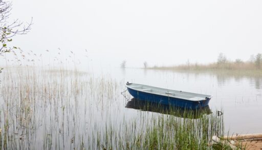 A lake with a small blue fishing boat on it and a layer of fog hanging over it.