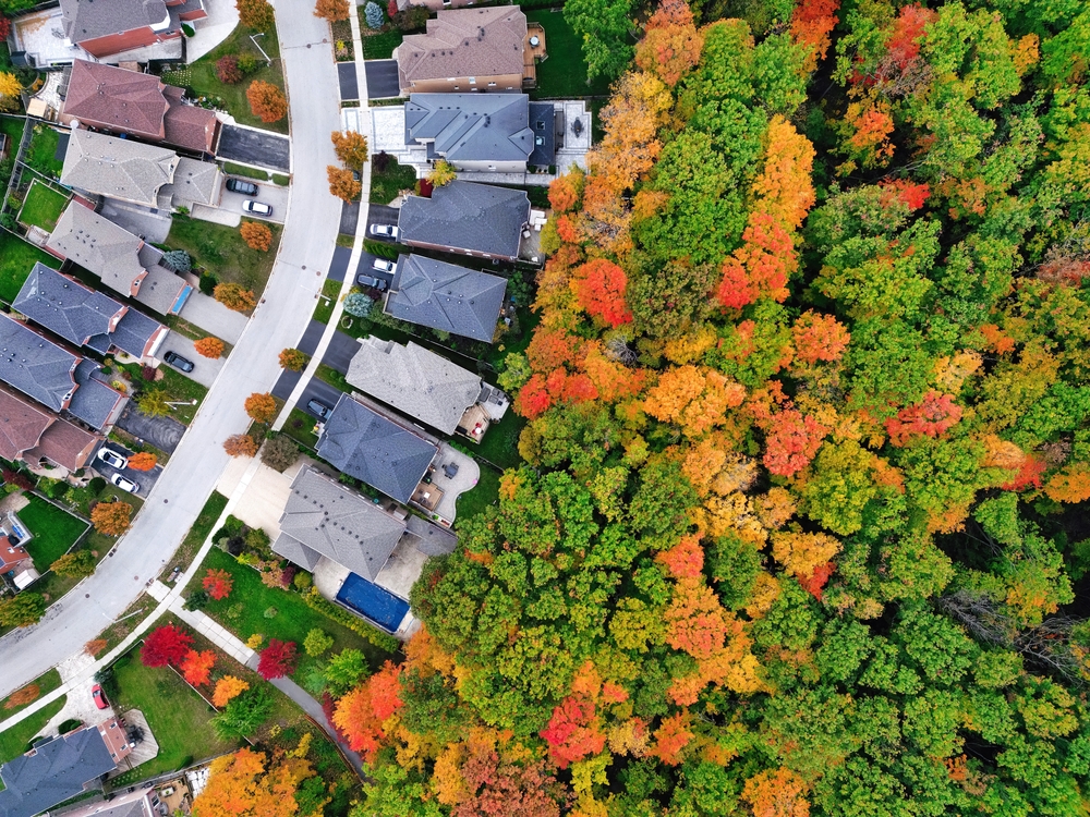 Aerial view of a neighbourhood with autumn trees surrounding.