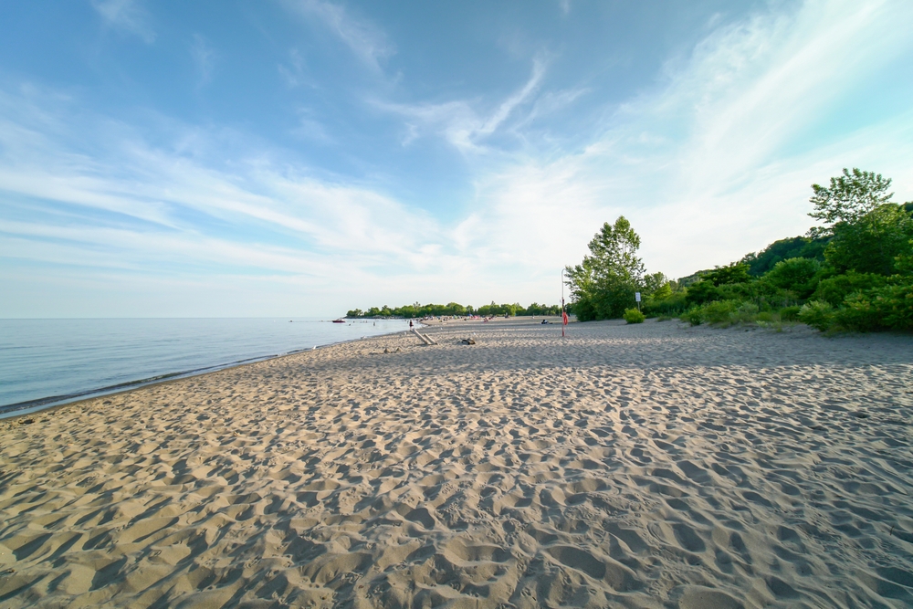 Shore of Lake Ontario. Sand and blue water and a couple of green trees.
