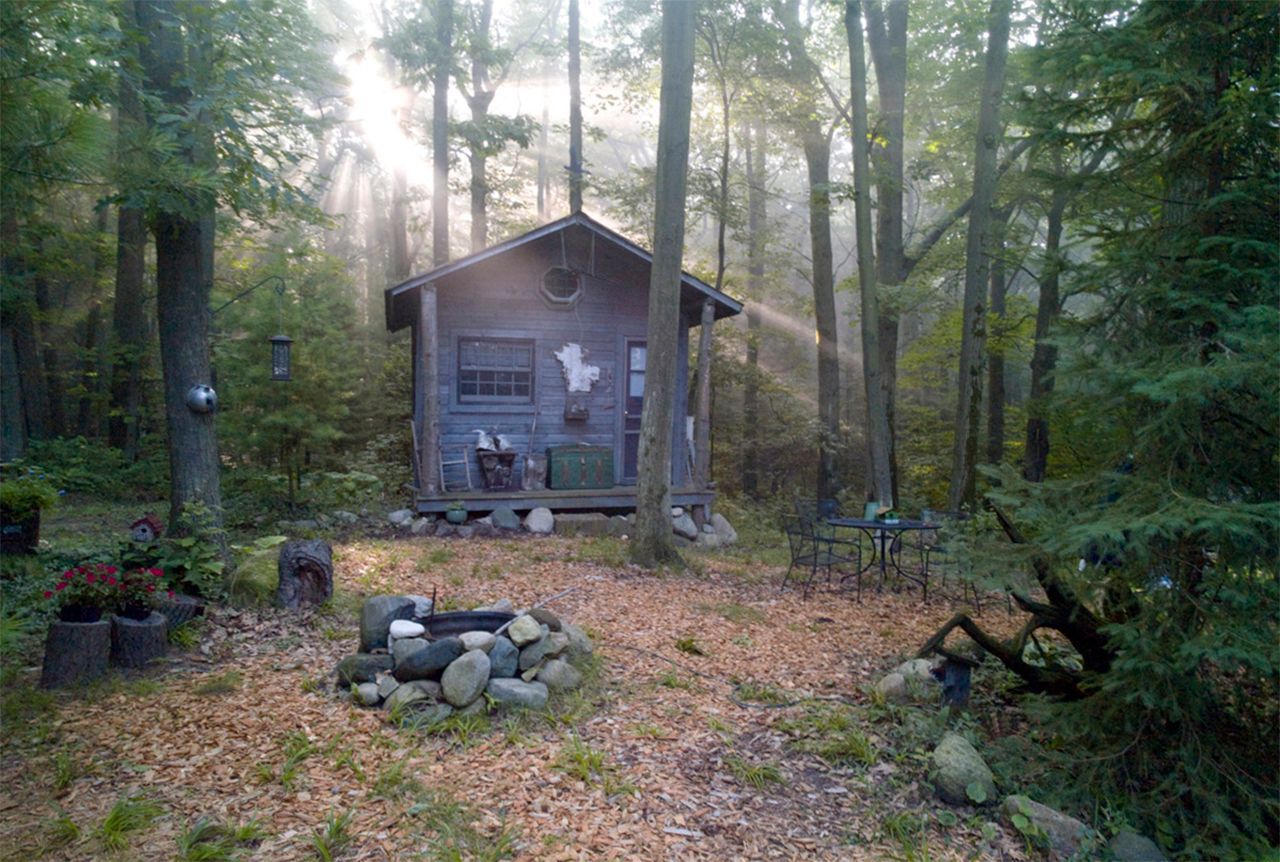 small cabin in trees