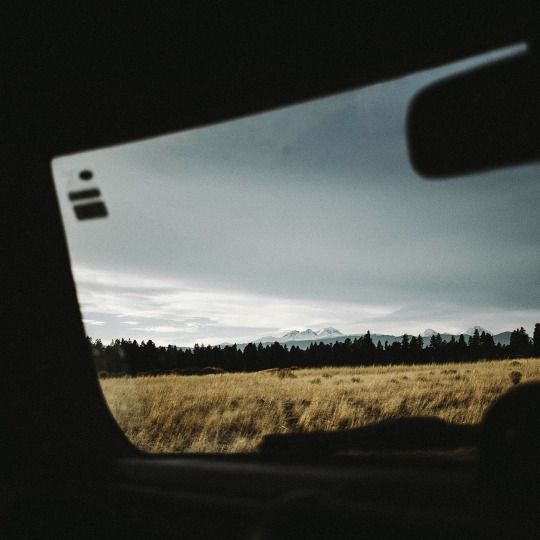 Nature view through windshield