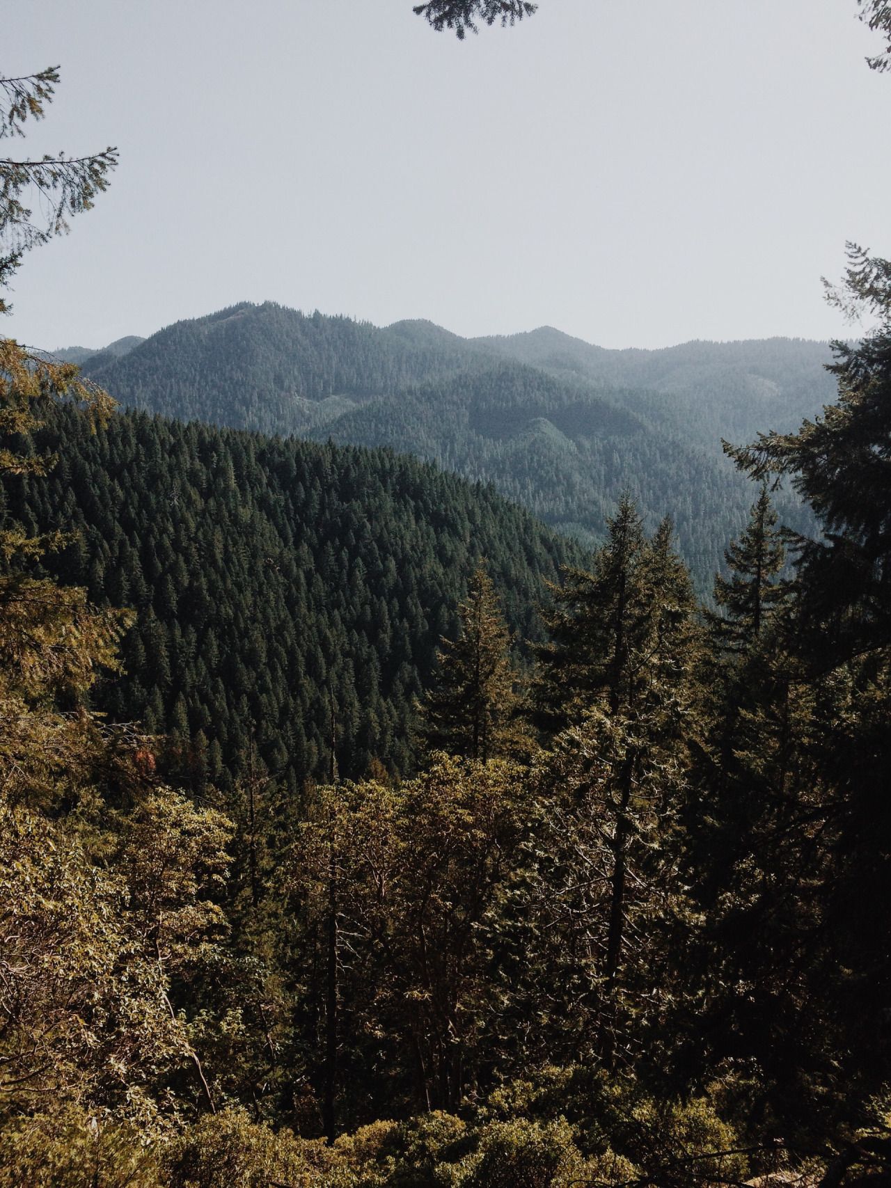 Mountains stretching into the distance
