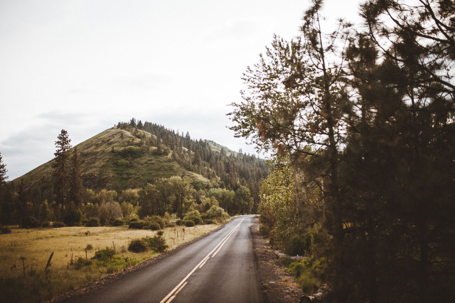 road through foothills