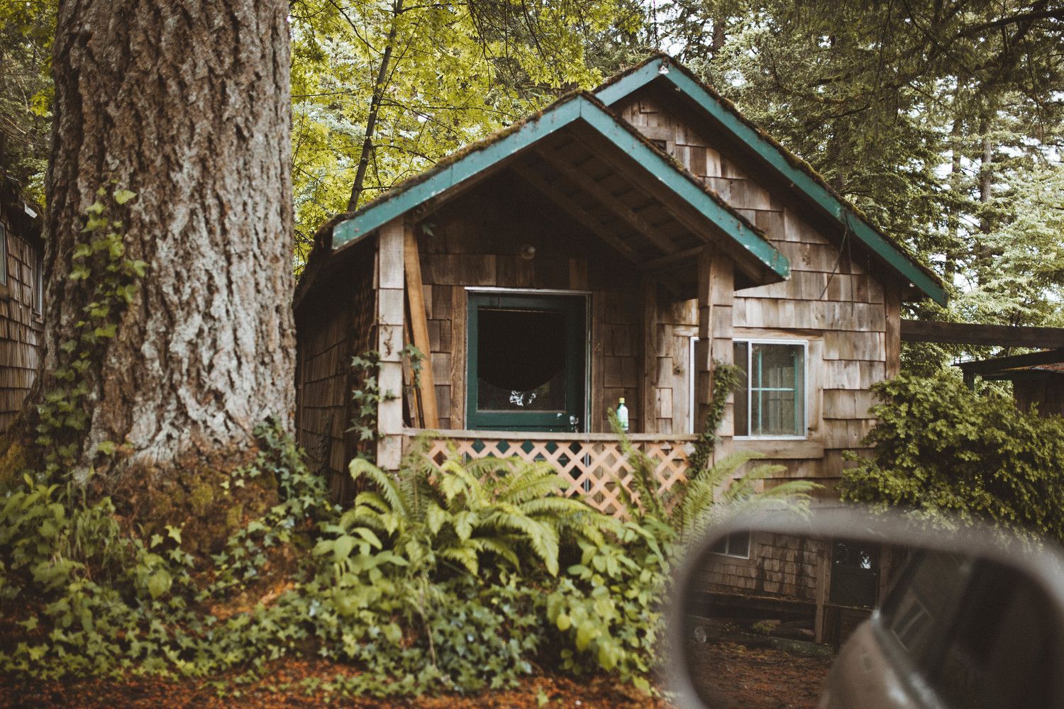 Cottage in woods