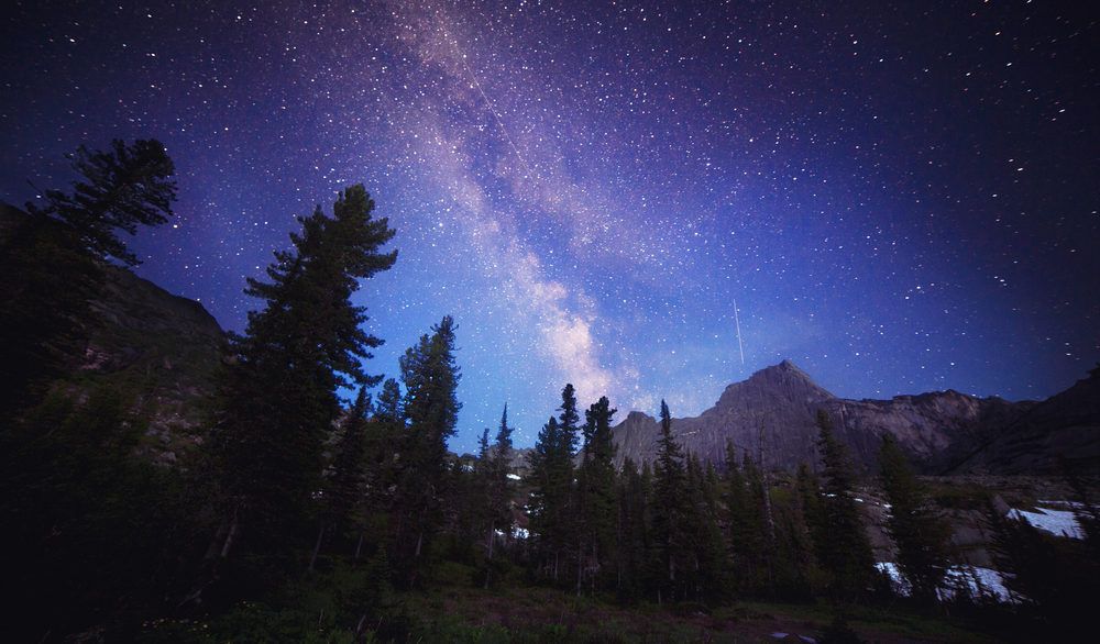 Purple and blue sky lighting the Milky Way above a tree landscape.