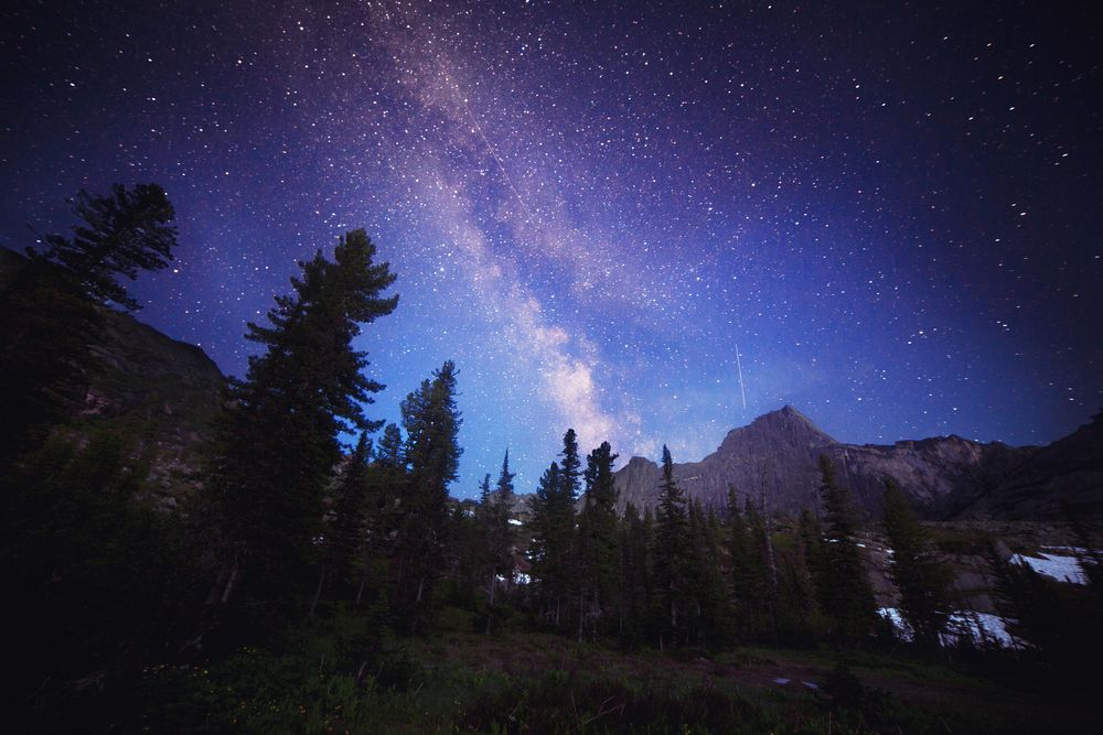 Purple and blue sky lighting the Milky Way above a tree landscape.