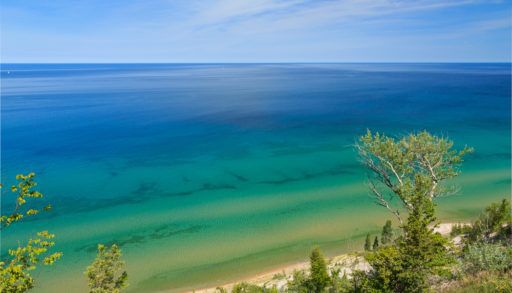 Ariel view of Lake Michigan with a shoreline of trees and sand.