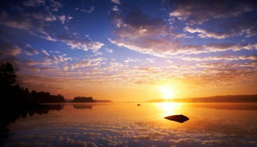 Beach sunset with silhouettes of trees and rocks.