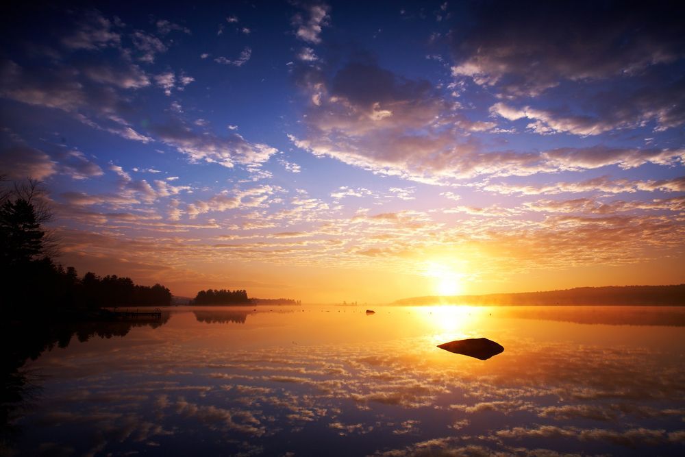 Beach sunset with silhouettes of trees and rocks.