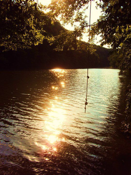 Sunset over lake with rope swing