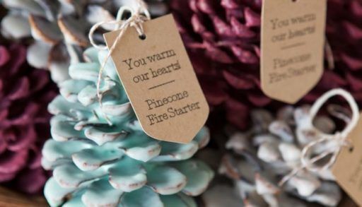 Pinecone fire starters