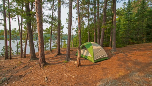 Green and white tent in a forest by a lake.