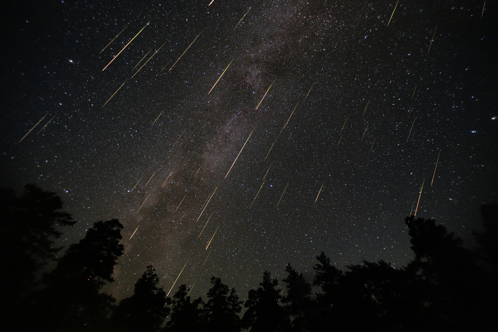 Meteor shower at night above silhouetted trees.