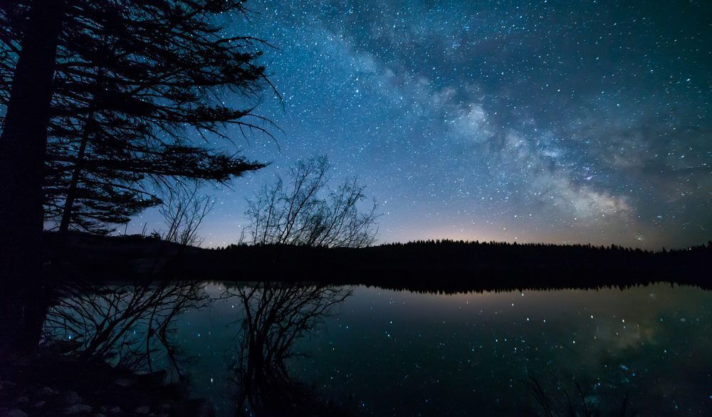 Blue, starry night sky above a tree landscape silhouette.