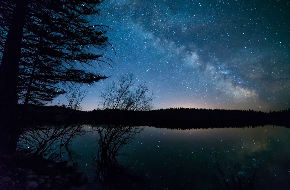 Blue, starry night sky above a tree landscape silhouette.