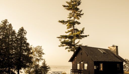 Wooden country home right by a lake and surrounded by trees.