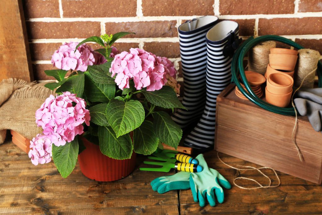 Gardening supplies next to a pink flowered plant on a wooden deck.