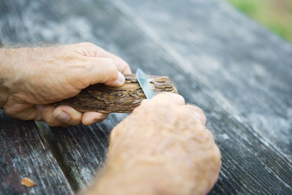 Person beginning to whittle a piece of tree bark.