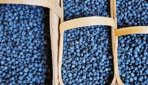 Wooden baskets of wild blueberries.