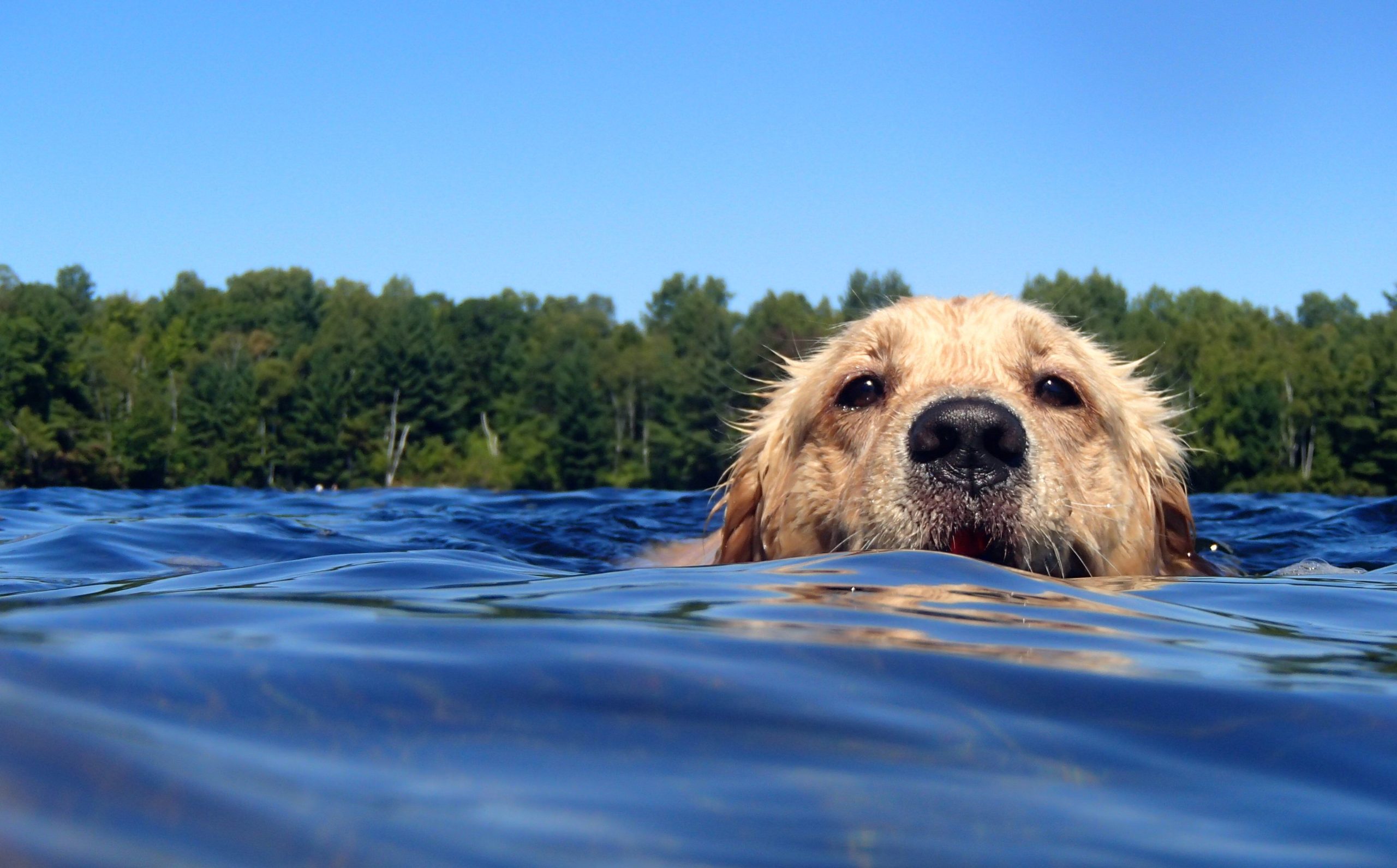 She love playing catch