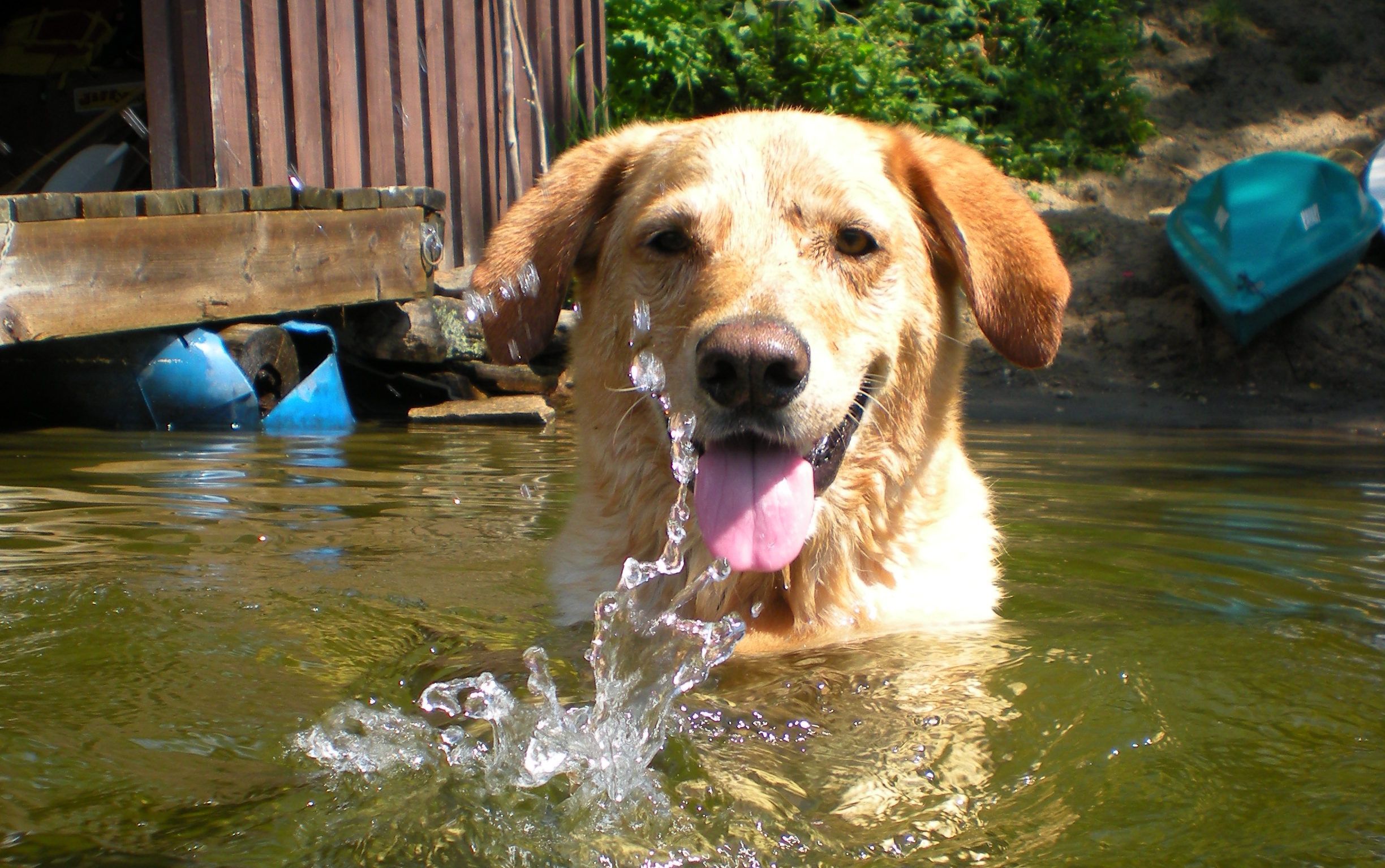 Come on mom let's play!