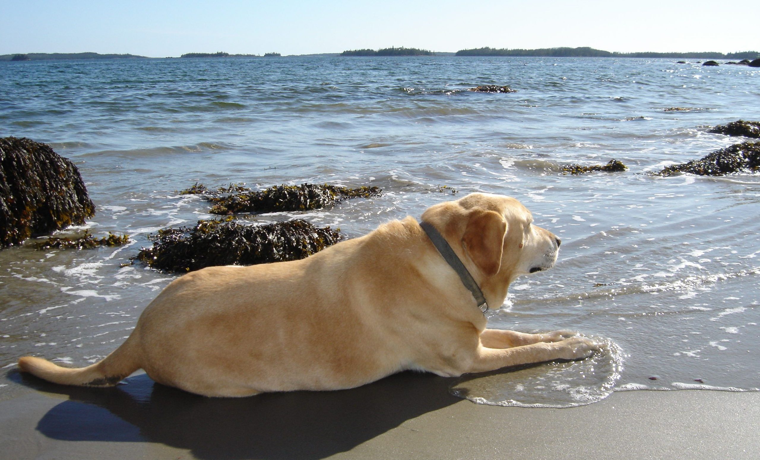 Relaxing in the surf