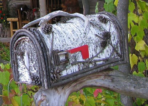 Birchbark mailbox