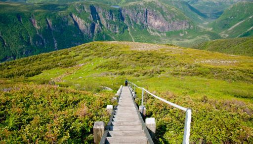 A long descending stairway in Gros Morne National Park, Newfoundland.