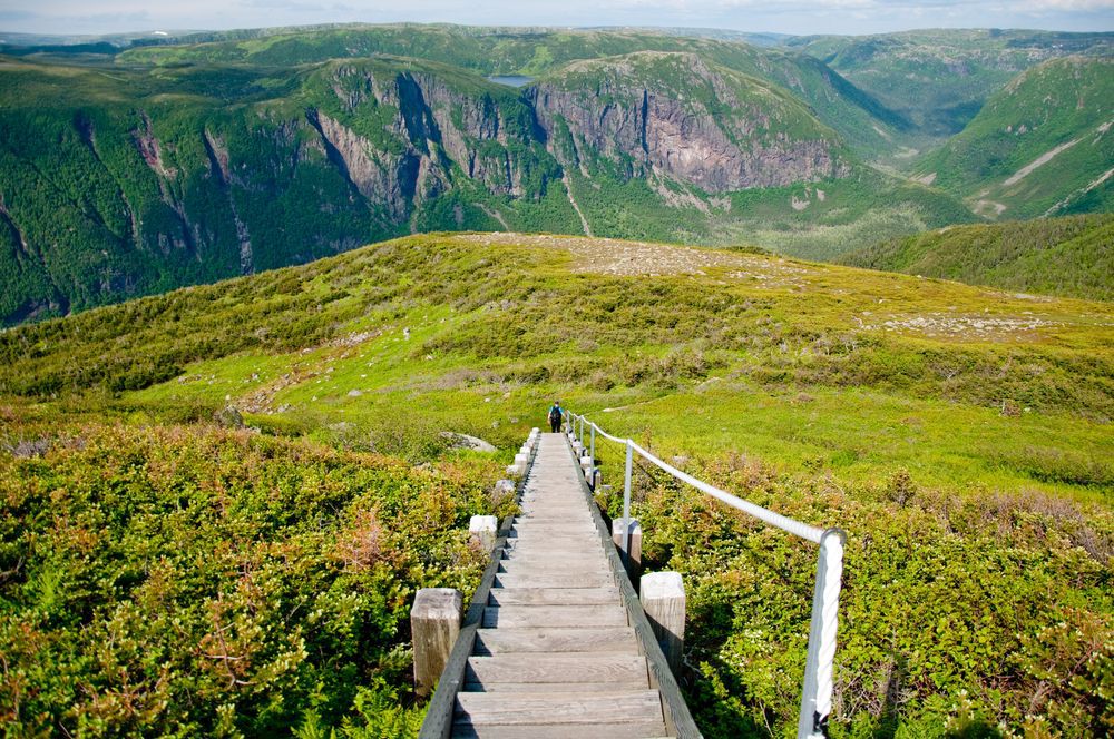 A long descending stairway in Gros Morne National Park, Newfoundland.