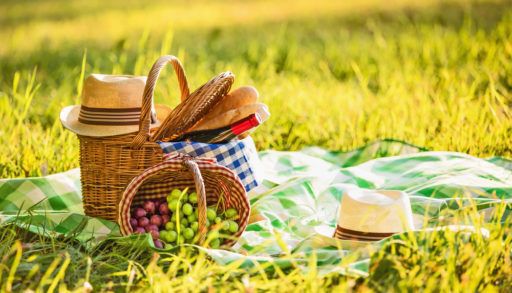 picnic tips