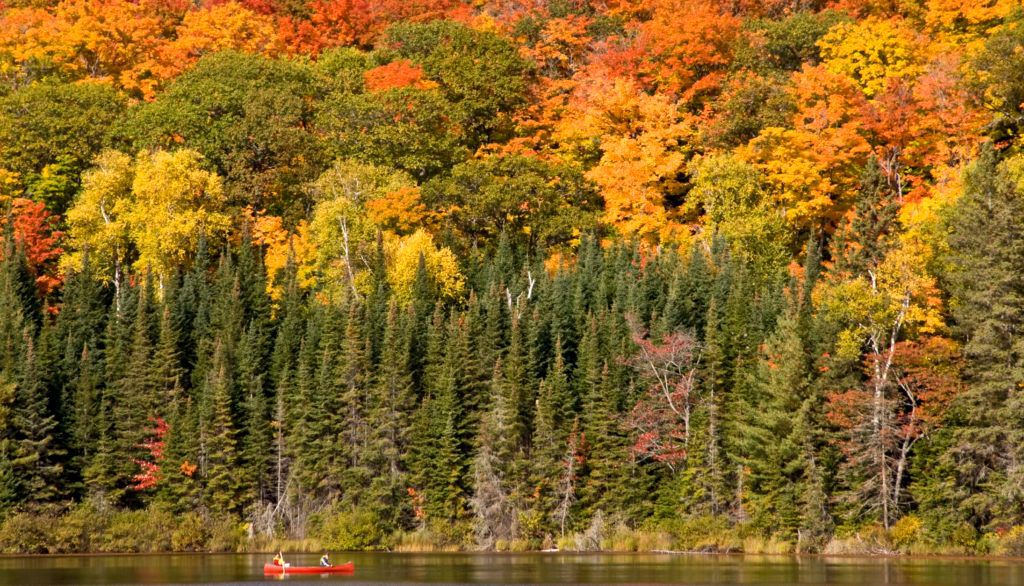 Between Thessalon and Chapleau, Ontario