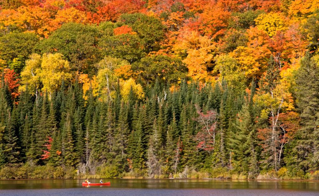 Between Thessalon and Chapleau, Ontario