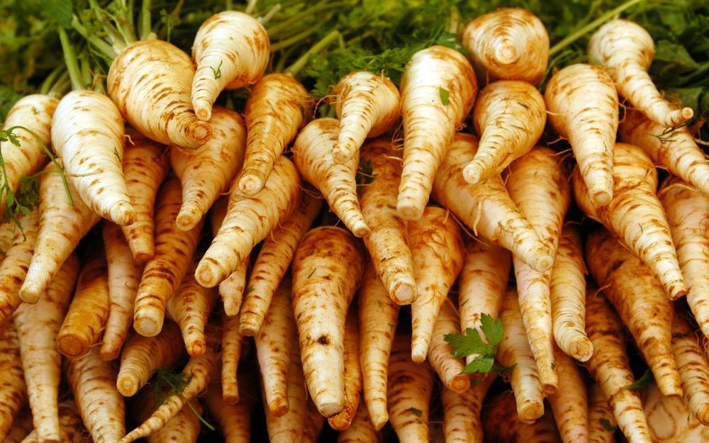 Parsnips