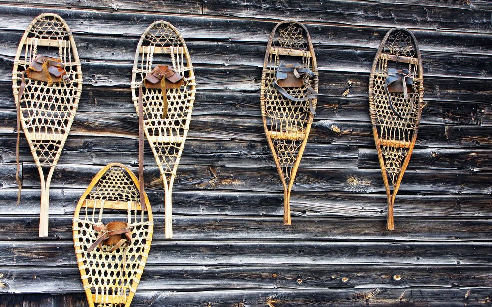 Snowshoes