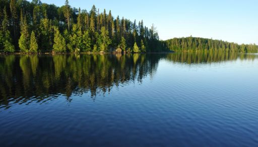 Clear and calm lake with a thick forest shoreline.