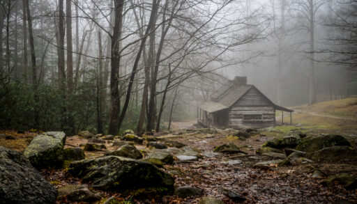 Scary old cabin in the woods with a layer of fog hanging around.