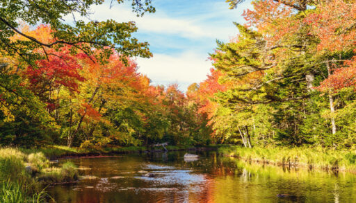 River surrounded by autumn coloured trees in Kejimkujik National Park, Nova Scotia, Canada.